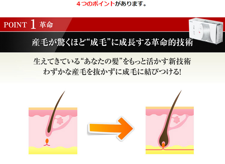 美髪と育毛【お試しサンプル】