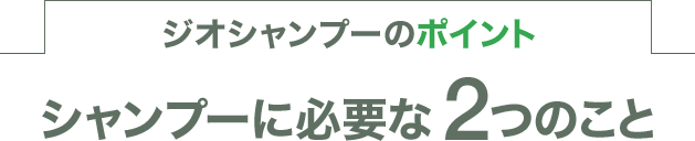 シャンプーに必要な2つのこと