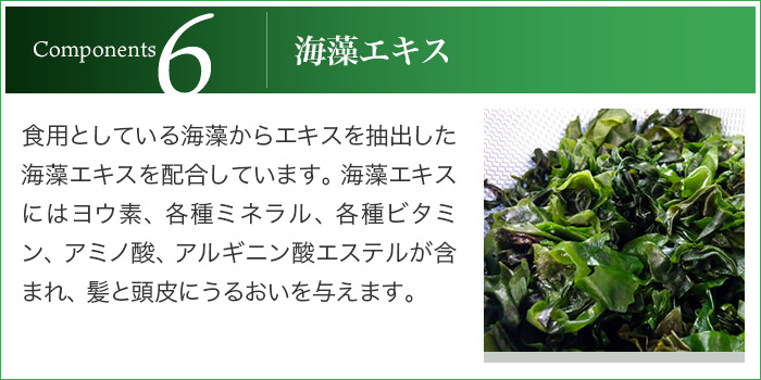 6.海藻エキス